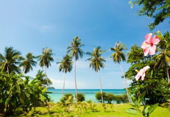 Hawaii